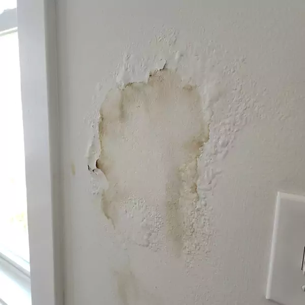 Expert Drywall Water Damage Repair in Dallas, TX