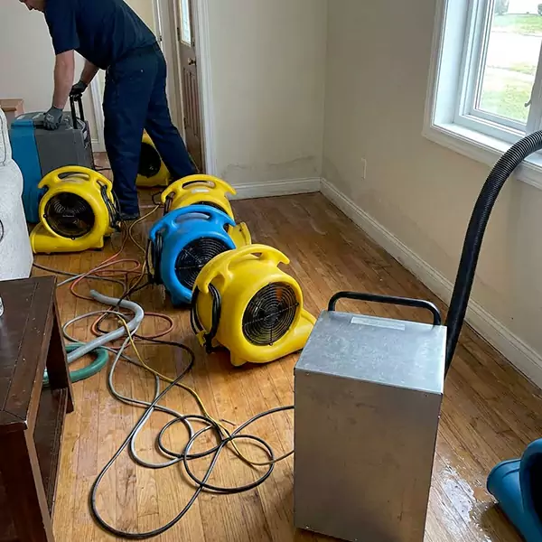 Water Mitigation Services in Dallas, TX