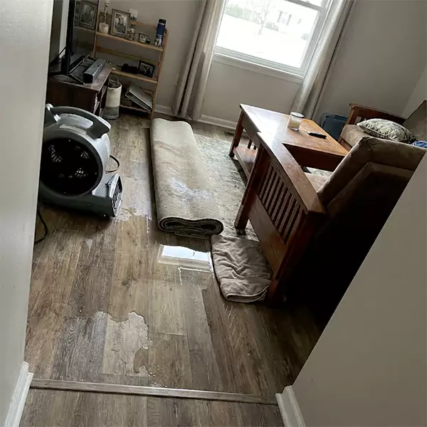 Water Restoration in Dallas, TX