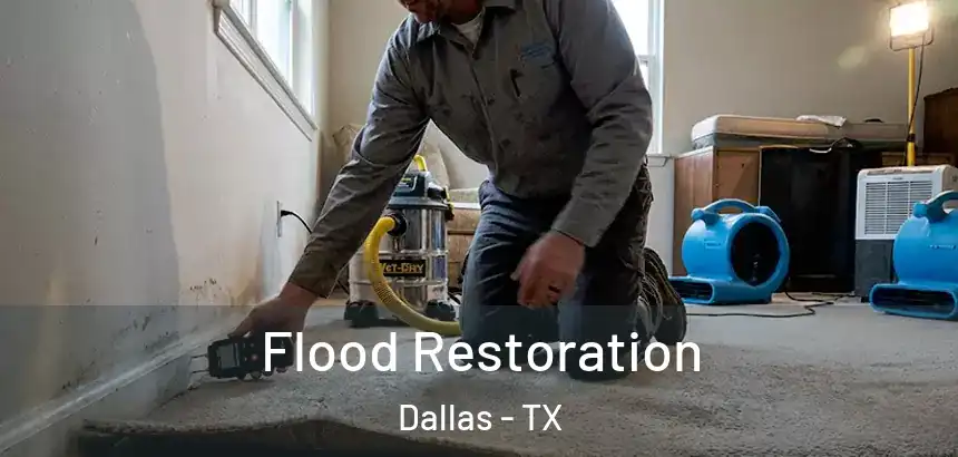  Flood Restoration Dallas - TX