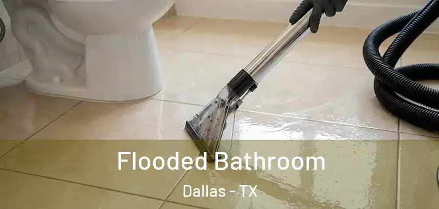  Flooded Bathroom Dallas - TX