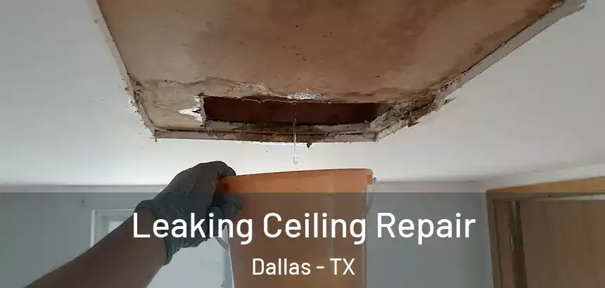  Leaking Ceiling Repair Dallas - TX