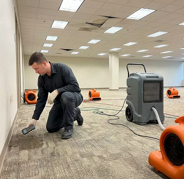 Why Businesses Choose Dallas Water Restoration Pro for Commercial Water Damage in Dallas, TX?