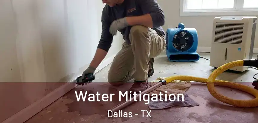  Water Mitigation Dallas - TX