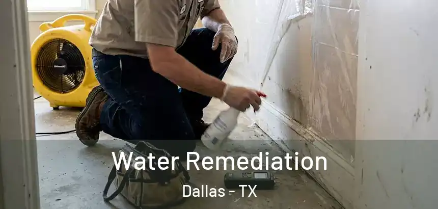  Water Remediation Dallas - TX